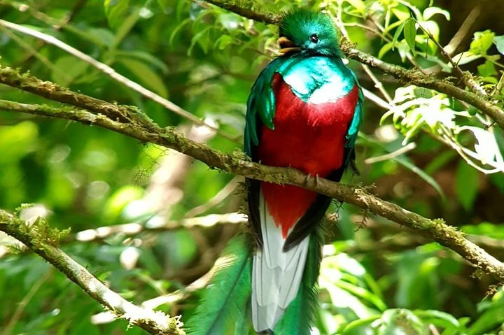 Hiking in the Cloud Forest - Photo 1 of 22